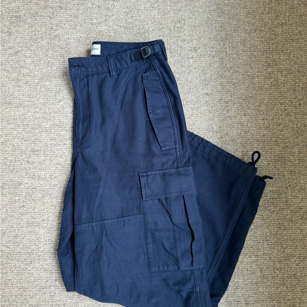 ARITZIA TNA Blue Cargo Pants with Adjustable Ankle